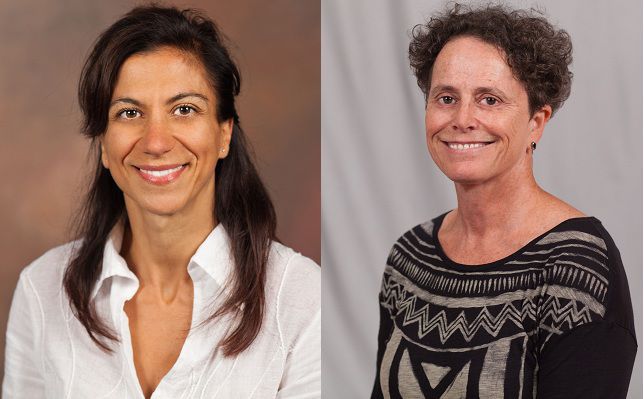 IUN addresses sexual misconduct through education, awareness